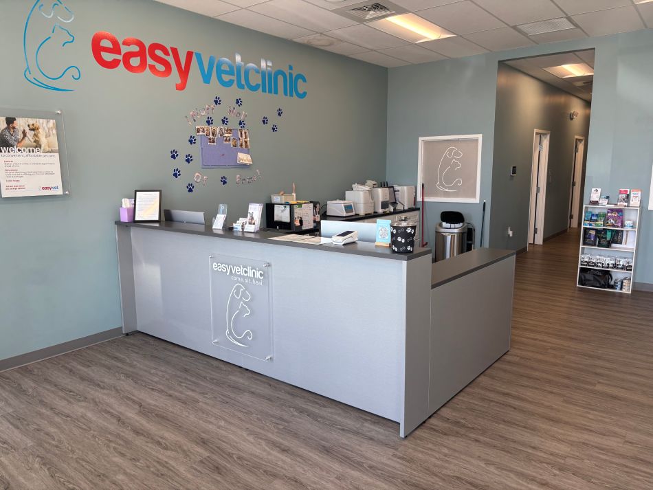 A modern veterinary clinic reception with blue and white decor.