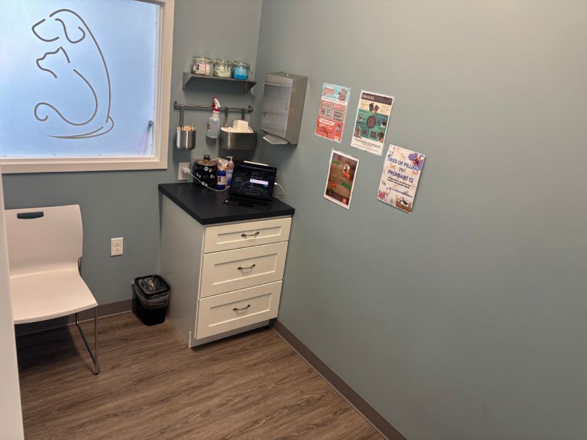 A clean medical office with a desk, chair, supplies, and informative posters on the wall.