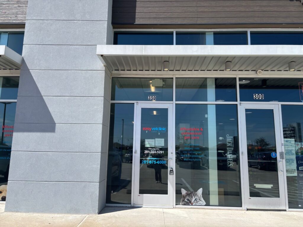 Modern veterinary clinic storefront with reflective glass doors and cat images.
